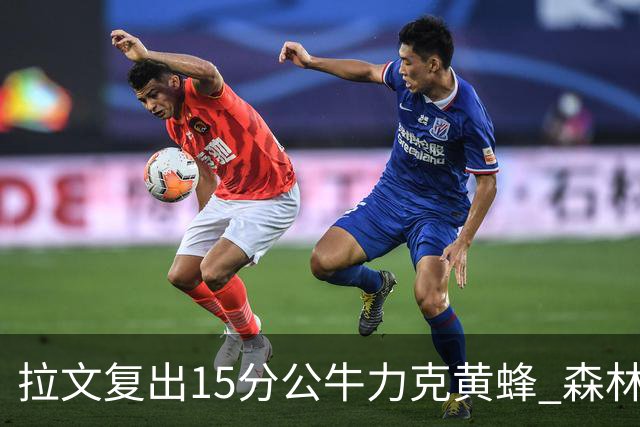 拉文复出15分公牛力克黄蜂 森林狼大胜火箭